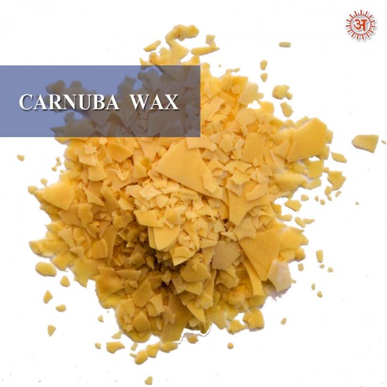 Carnuba Wax full-image